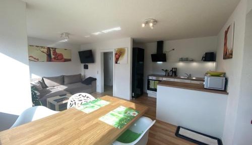 Apartment with Mountain View