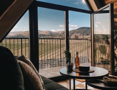 Two-Bedroom Apartment with Mountain View
