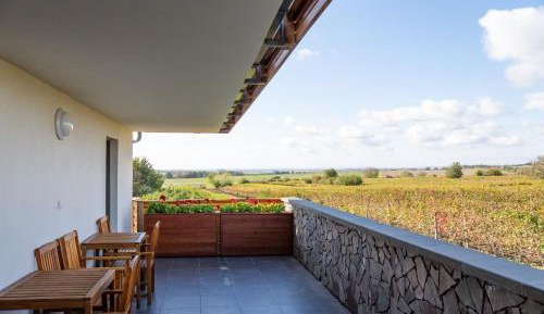 Double Room with Terrace