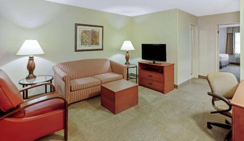 1 King Bed, One Bedroom Suite, Jetted Tub, Non-Smoking