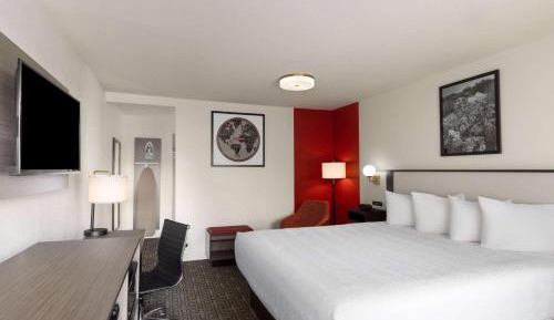 Standard Room with One King Bed and Courtyard View - Smoking