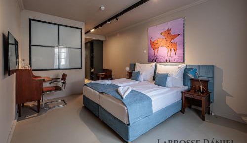 Superior Double or Twin Room