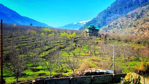 Double Room with Mountain View