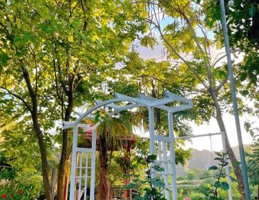 King Room with Garden View
