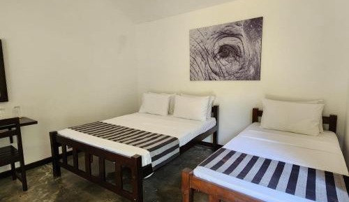 Standard Double or Twin Room