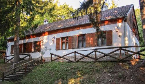 Apartment with Forest View