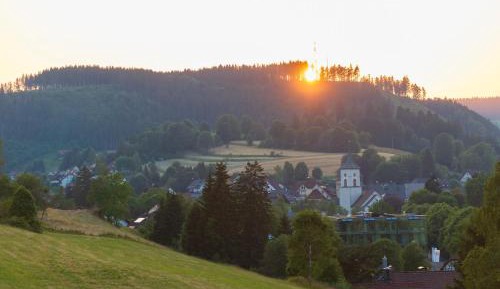 Three-Bedroom Superior Apartment