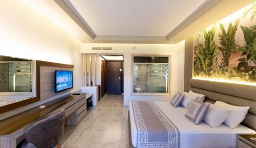 Deluxe Double or Twin Room