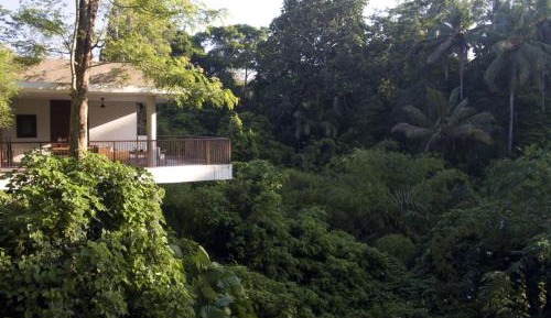 Forest Villa