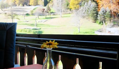 Superior One-Bedroom Apartment with Balcony