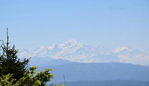 Three-Bedroom Apartment with Lake View