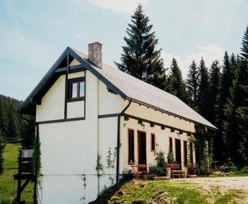 Apartment - Split Level