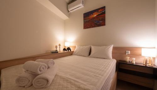 Deluxe One-Bedroom Apartment