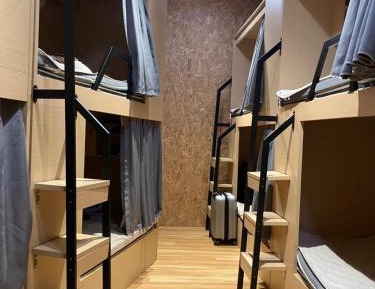 Bunk Bed in Mixed Dormitory Room