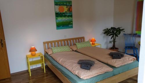 Double or Twin Room