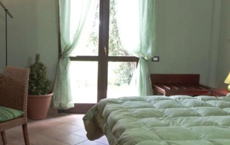 King Room with Garden View