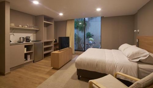 One-bedroom Loft Apartment 