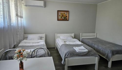 Triple Room with Shared Toilet