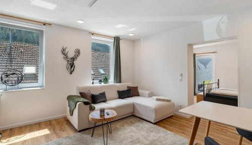 Superior One-Bedroom Apartment