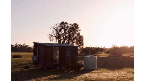 Mobile Home