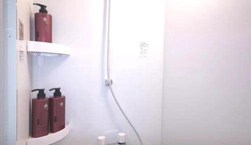 Japanese-Style Room