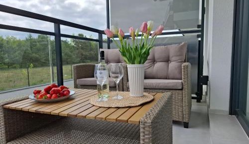 One-Bedroom Apartment with Balcony