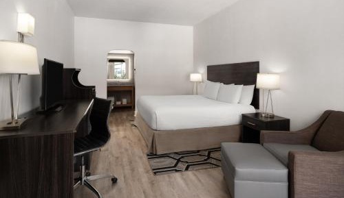 Deluxe King Studio