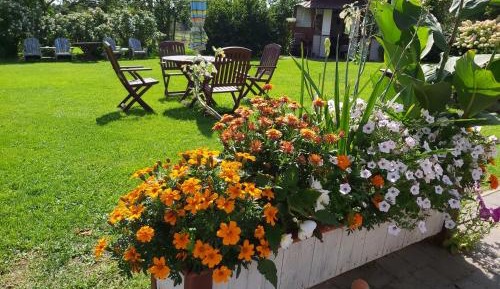 Double Room with Garden View