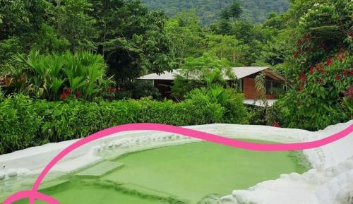 Triple Room with Pool View
