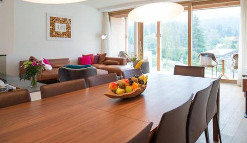 Apartment with Mountain View