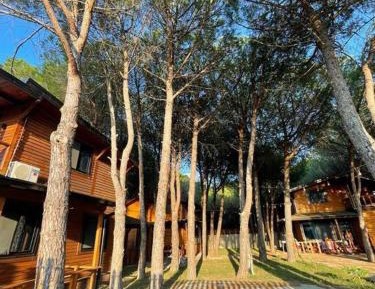 Villa with Garden View