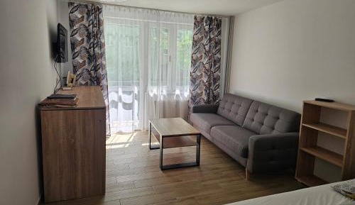 Two-Bedroom Family Apartment