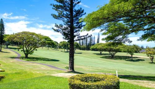 Six-Bedroom Apartment