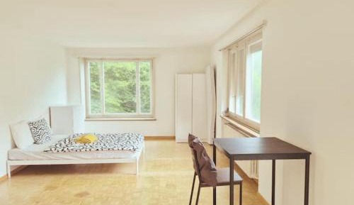 Deluxe One-Bedroom Apartment with Garden View