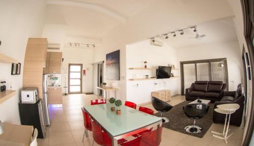 Penthouse Apartment