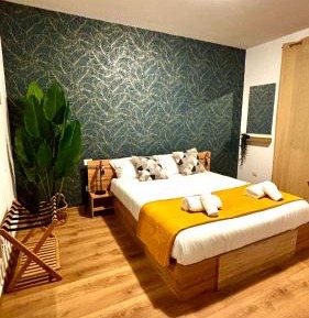 Deluxe One-Bedroom Apartment