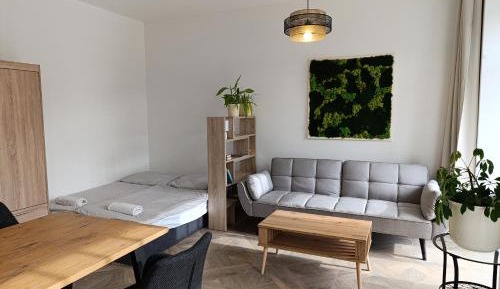 Apartment with Terrace
