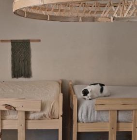 Bed in 8-Bed Mixed Dormitory Room