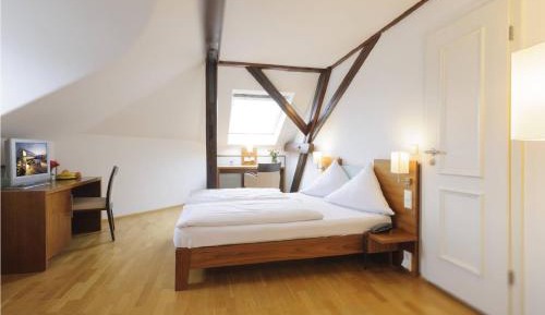 Standard  Double Room