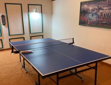 Superior Double or Twin Room with Terrace