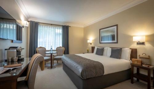 Superior Double or Twin Room