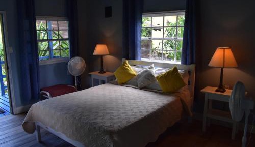 Deluxe King Suite