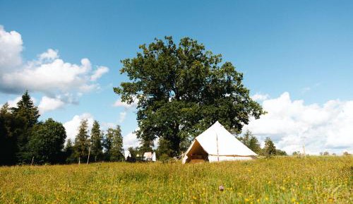 Tent I