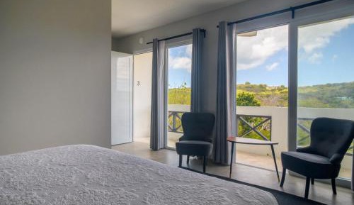 King Room with Roll-In Shower - Disability Access