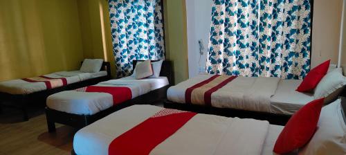 Single Bed in Male Dormitory Room