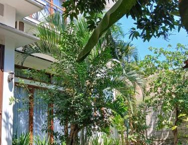Double Room with Park View
