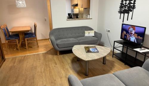 Two-Bedroom Apartment with Terrace