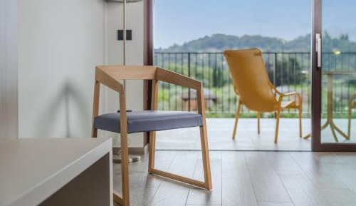 Superior Double or Twin Room with Terrace