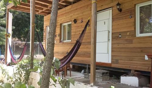 Single Bed in Mixed Dormitory Room