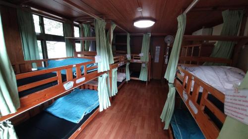 Bunk Bed in Mixed Dormitory Room